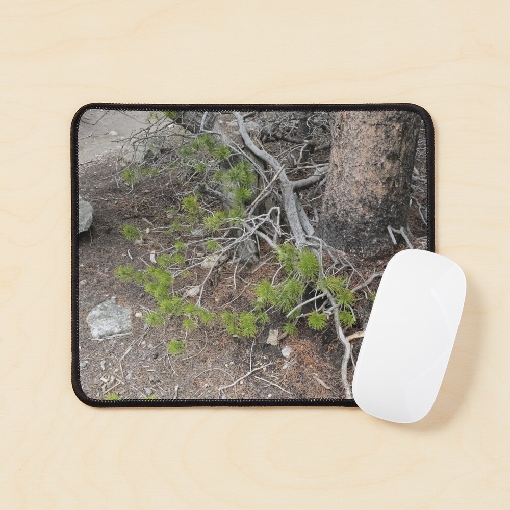 Item preview, Mouse Pad designed and sold by Haley-Marshall.