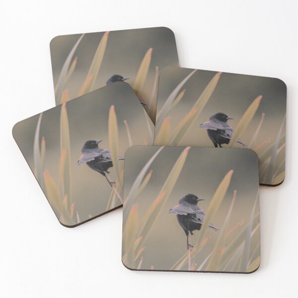 Item preview, Subtle red winged blackbird  designed and sold by Sandi Walmsley.