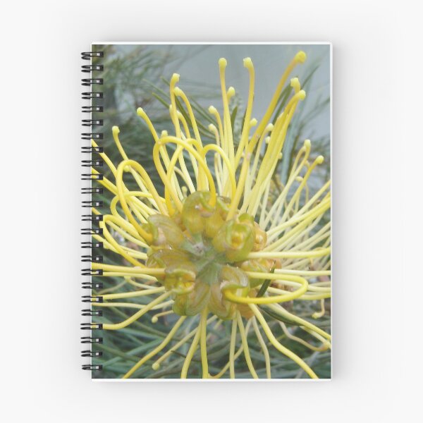 Item preview, Opened wide - Pretty Grevillea inside designed and sold by KazM.