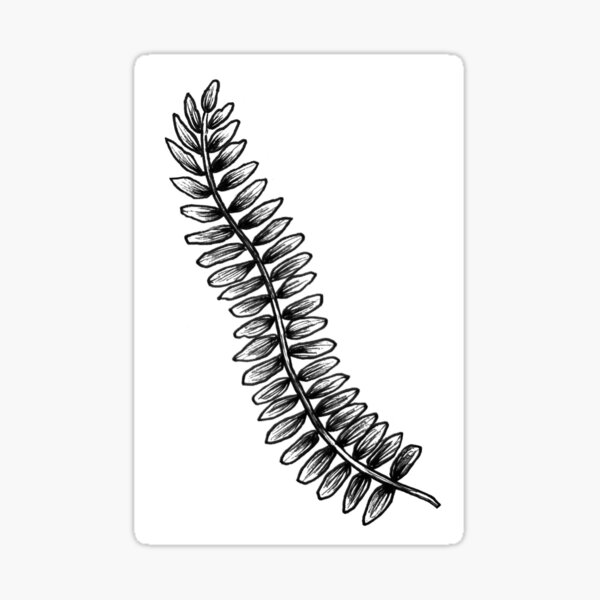 Item preview, Curvy Fern designed and sold by StudioRosebud.