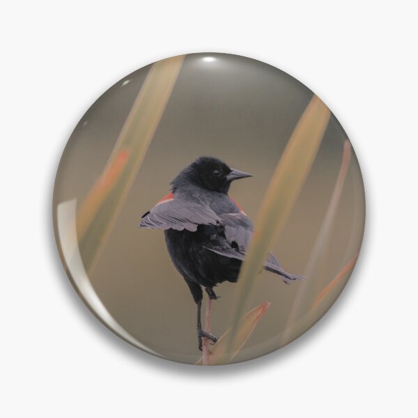 Item preview, Subtle red winged blackbird  designed and sold by Sandi Walmsley.
