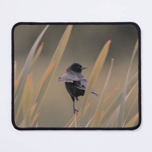 Item preview, Subtle red winged blackbird designed and sold by Sandi Walmsley.