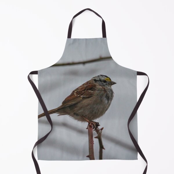 Aperçu de l'œuvre H0217 White Throated Sparrow créée et vendue par photographyemd.