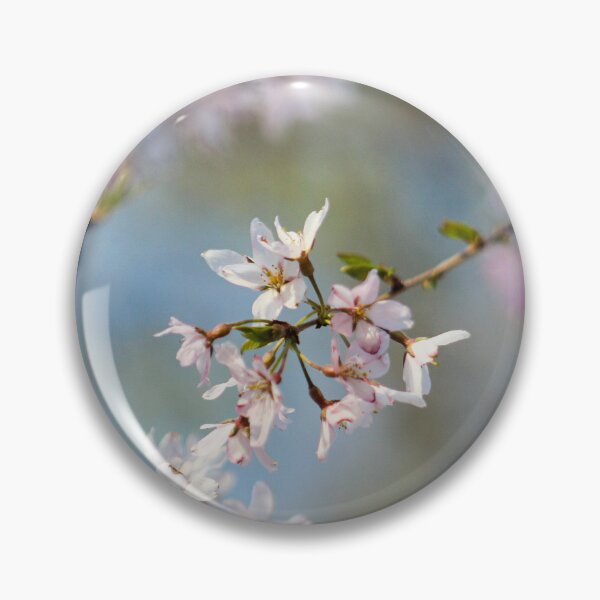 Artikelvorschau, H0218 Cherry Blossom entworfen und verkauft von photographyemd.
