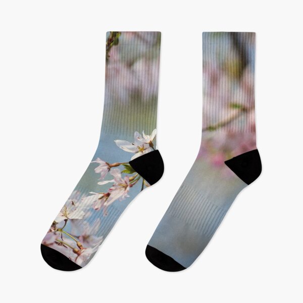 Item preview, H0218 Cherry Blossom designed and sold by photographyemd.