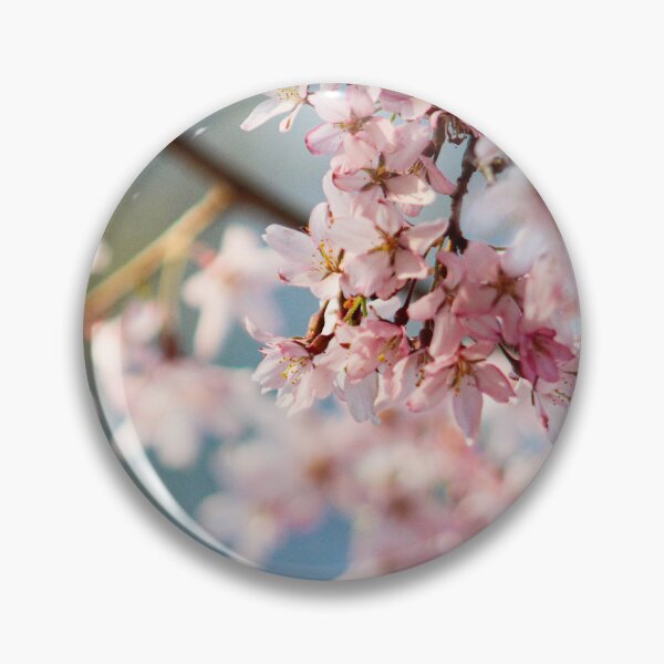 Artikelvorschau, H0219 Cherry Blossom entworfen und verkauft von photographyemd.