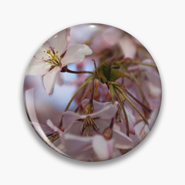 Artikelvorschau, H0220 Cherry Blossom entworfen und verkauft von photographyemd.