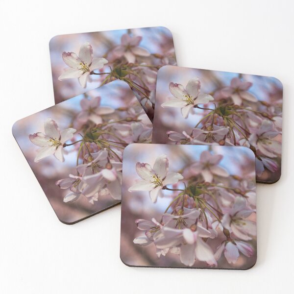 Item preview, H0220 Cherry Blossom designed and sold by photographyemd.