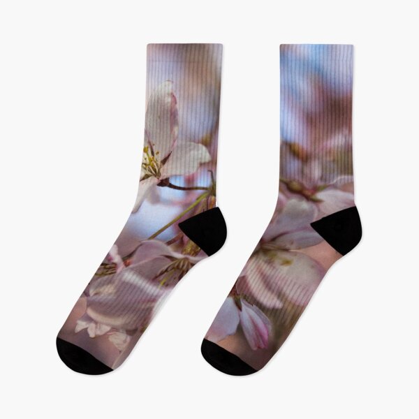 Item preview, H0220 Cherry Blossom designed and sold by photographyemd.
