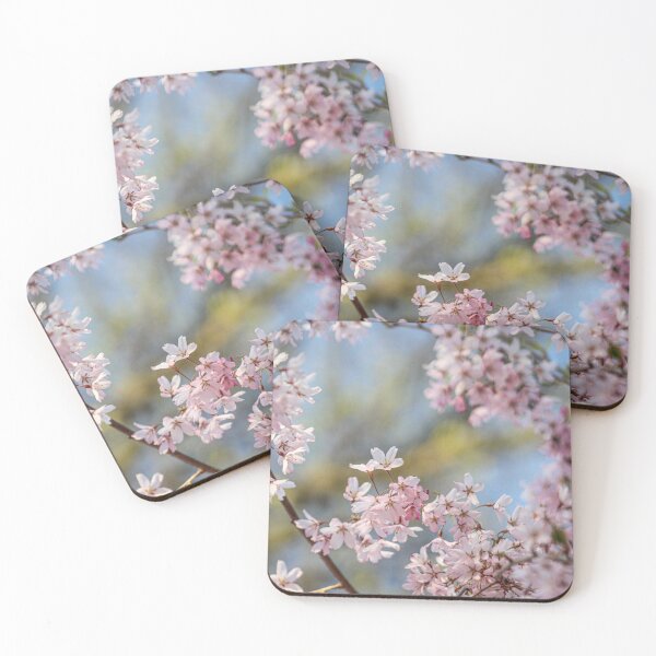 Item preview, H0221 Cherry Blossom designed and sold by photographyemd.