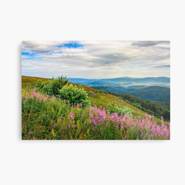 meadow with purple flowers in mountains Metal Print
