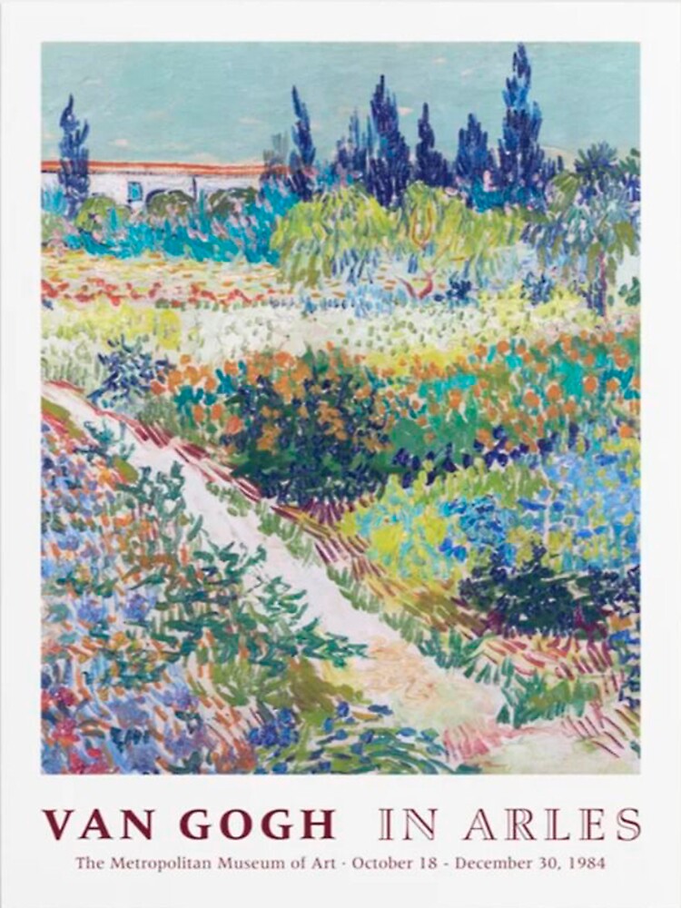 Van Gogh In Arles