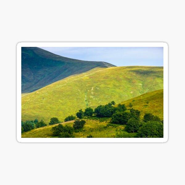 grassy hillside on mountain in summer Sticker
