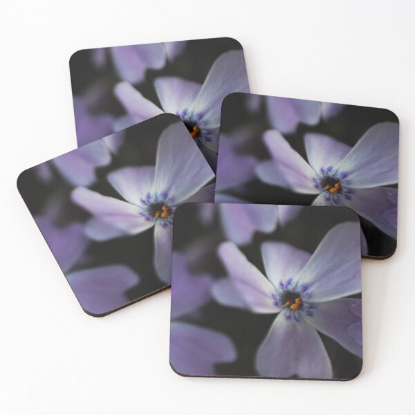 Item preview, H0223 Phlox designed and sold by photographyemd.