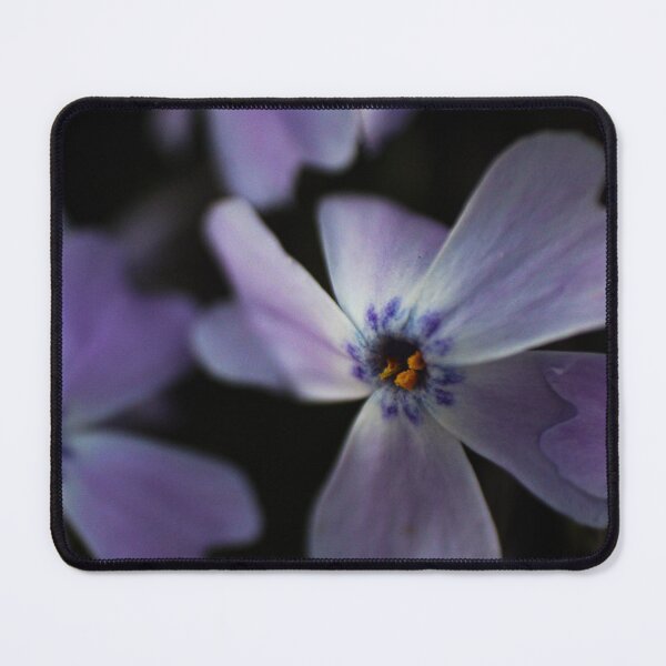 Item preview, H0223 Phlox designed and sold by photographyemd.