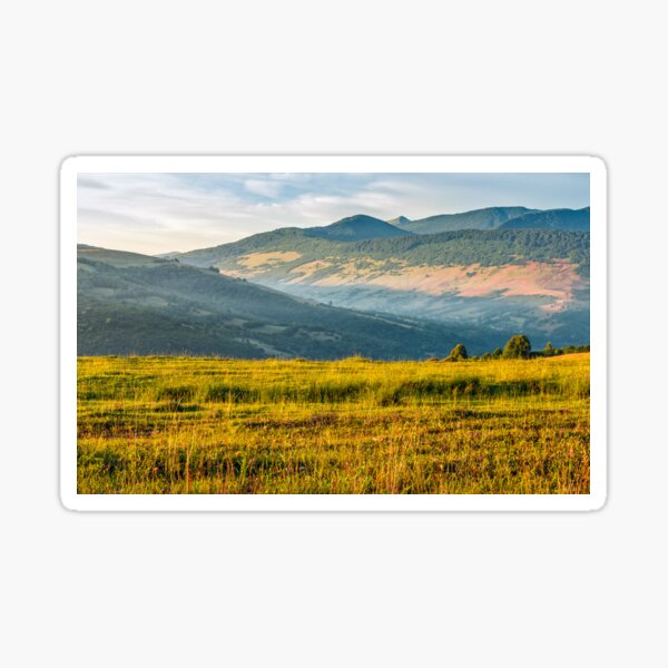 agricultural field in mountains Sticker