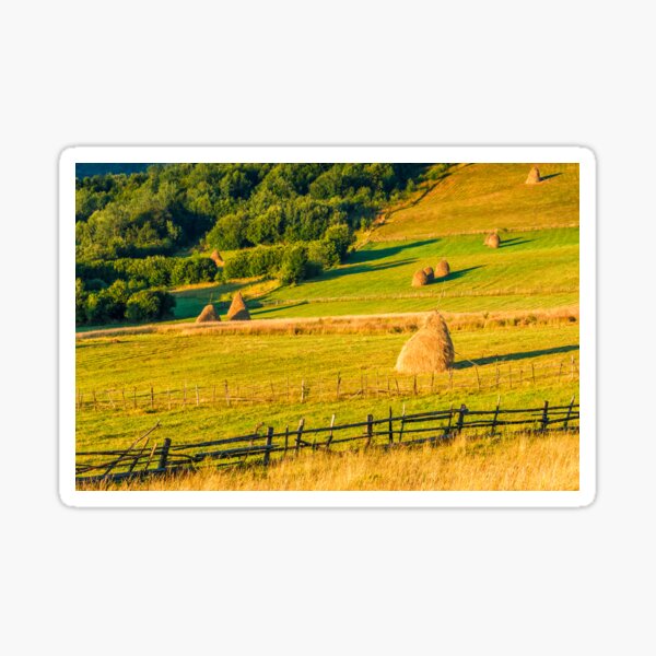 haystacks and a trees on a hillside meadow Sticker