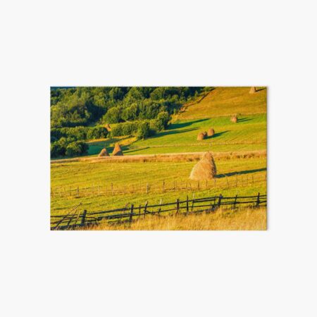 haystacks and a trees on a hillside meadow Art Board Print