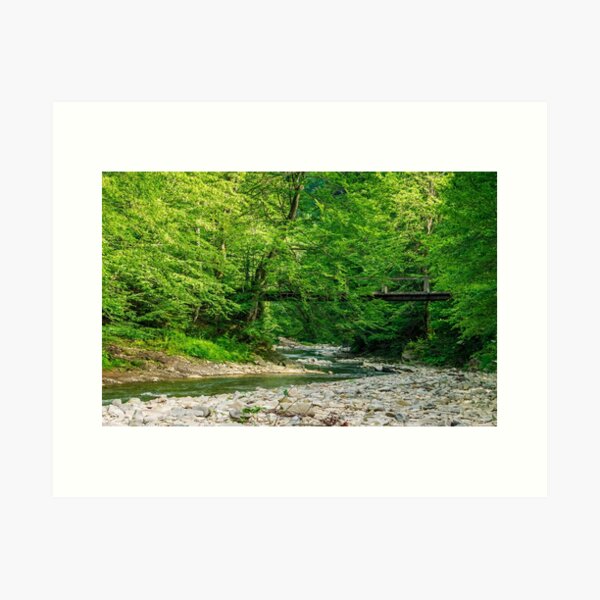 bridge over the forest river Art Print