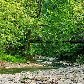 Artwork thumbnail, bridge over the forest river by mike-pellinni