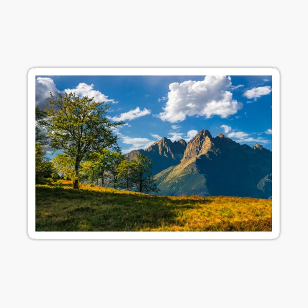 trees on the hill in High Tatry Mountain ridge Sticker