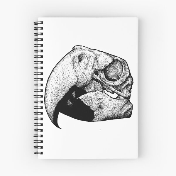 Aperçu de l'œuvre ParrotSkull créée et vendue par KaM ..