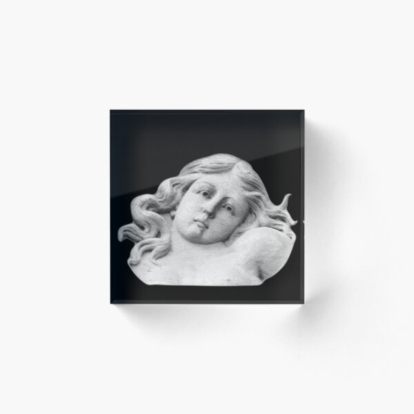 Topless Beauty Acrylic Block