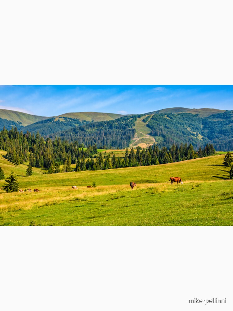 few cows grazing on hillside meadow by mike-pellinni