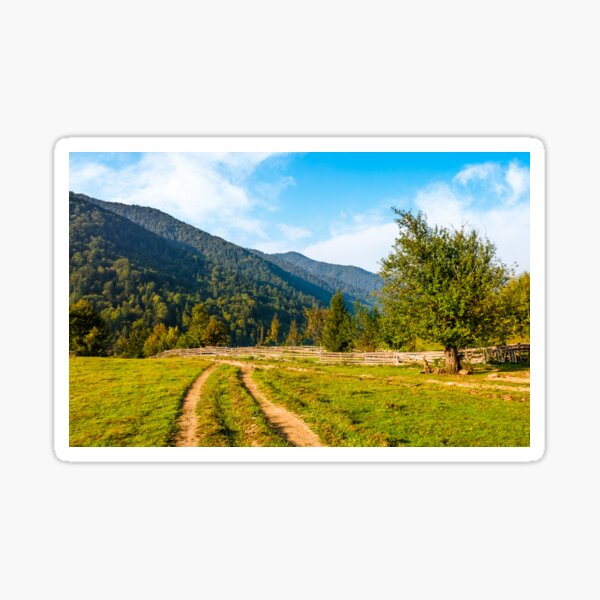 orchrd behind the fence in mountains Sticker