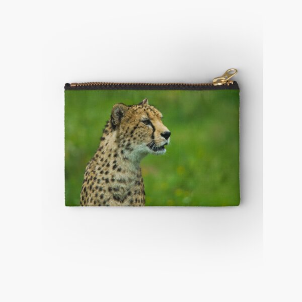Item preview, Cheetah On A Lookout designed and sold by rawshutterbug.