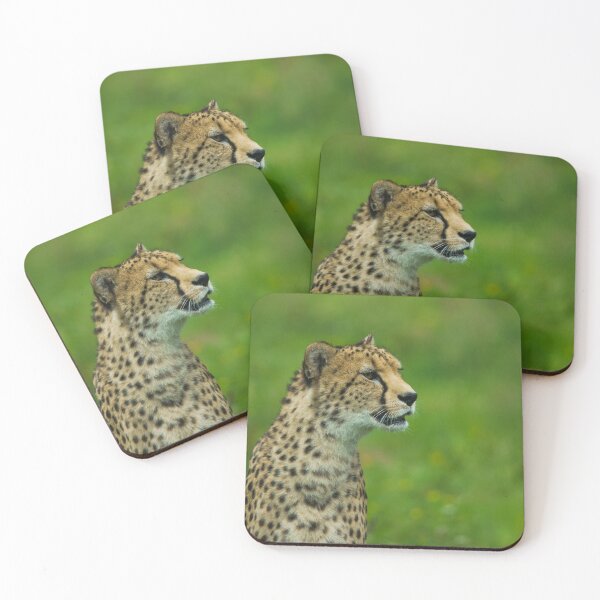 Item preview, Cheetah On A Lookout designed and sold by rawshutterbug.