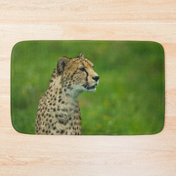 Item preview, Cheetah On A Lookout designed and sold by rawshutterbug.