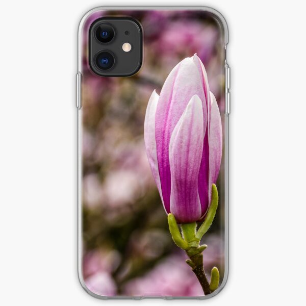 Magnolia flower blossom in springtime iPhone Soft Case