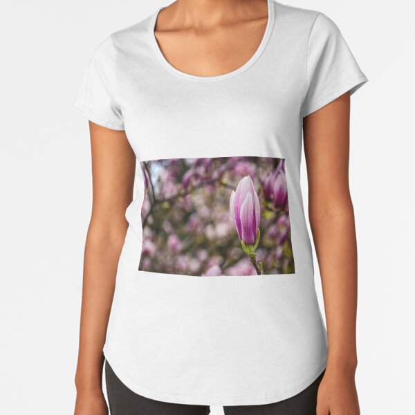 Magnolia flower blossom in springtime Premium Scoop T-Shirt