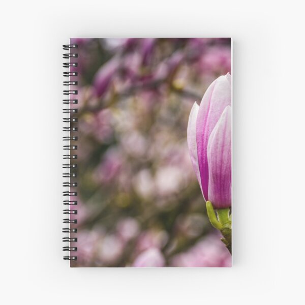 Magnolia flower blossom in springtime Spiral Notebook