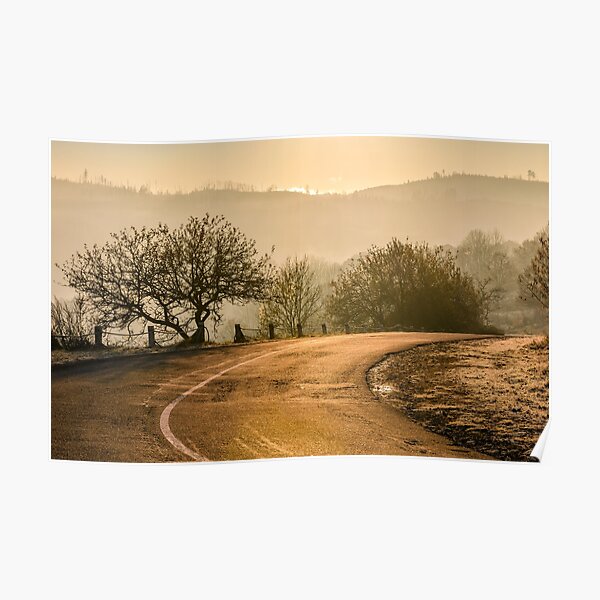 tree by the road in mountains at sunrise Poster