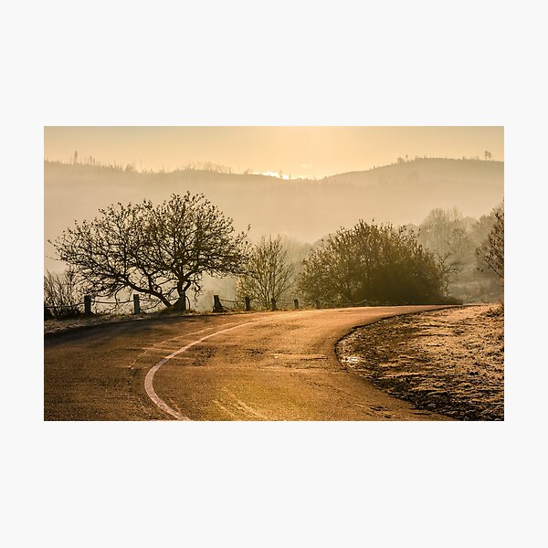 tree by the road in mountains at sunrise Photographic Print