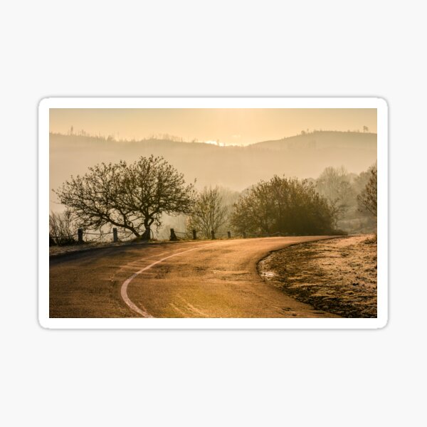 tree by the road in mountains at sunrise Sticker
