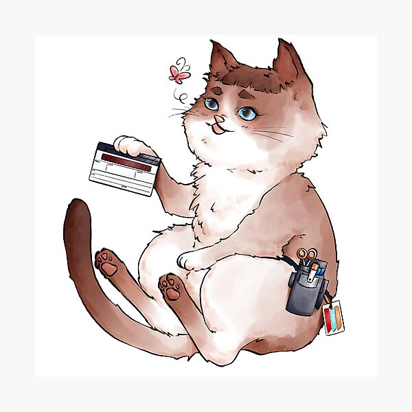 Item preview, 2nd Camera Assistant Cat N designed and sold by notek.