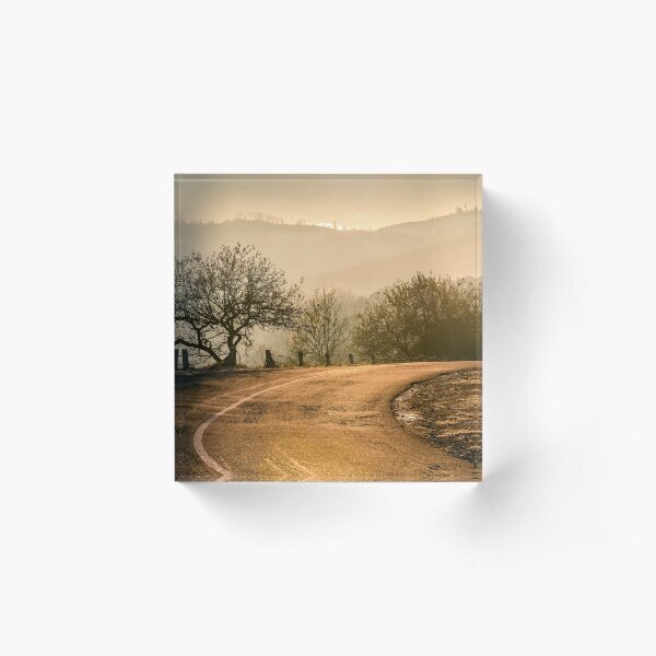 tree by the road in mountains at sunrise Acrylic Block