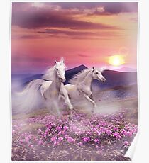 Duet of unicorns Poster