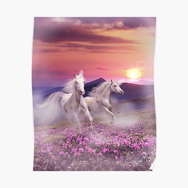 Duet of unicorns Poster