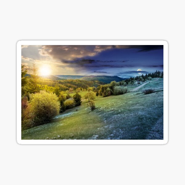 forest on a mountain hillside in rural area. day and night Sticker