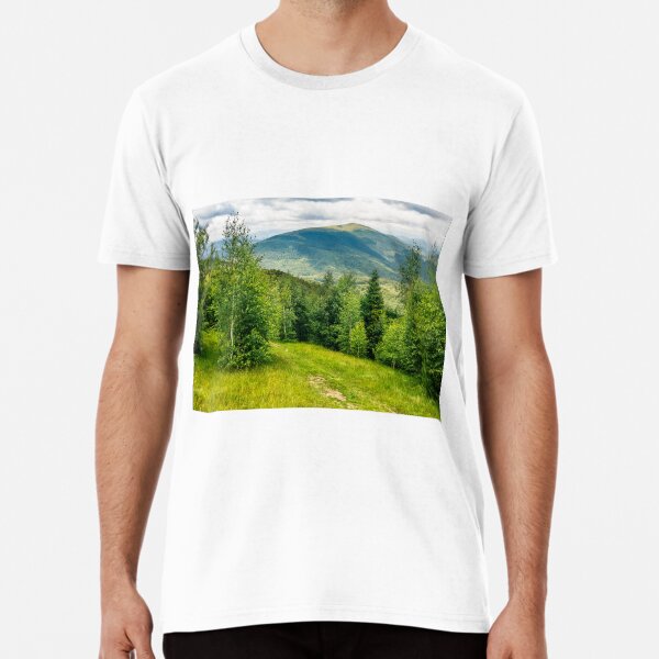 path through the meadow in forest on a hillside in mountains Premium T-Shirt