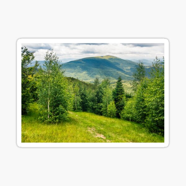 path through the meadow in forest on a hillside in mountains Sticker