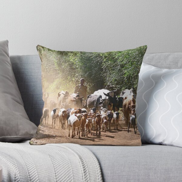 Throw Pillow