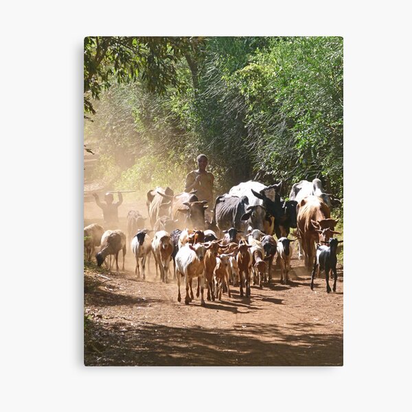 Canvas Print