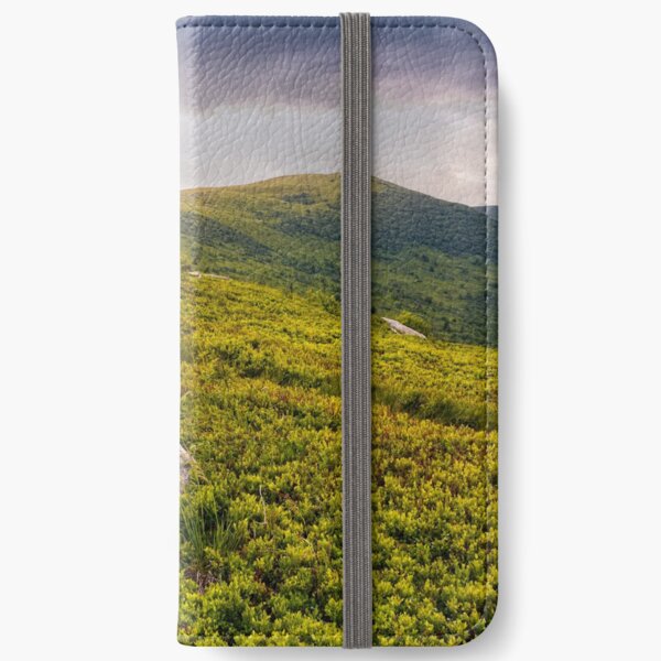 high mountain landscape iPhone Wallet