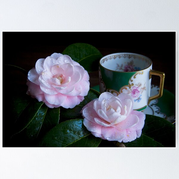 Item preview, Delicate Duo designed and sold by Jonicool.