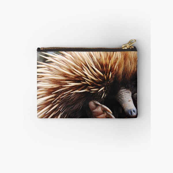 Item preview, Echidna (Cute) designed and sold by jeremydwilliams.